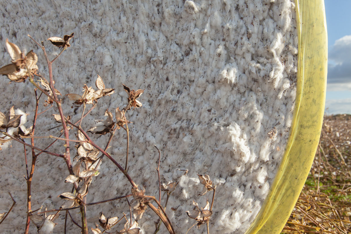 Solid State Clothing Launches the 10,000 Pounds of Cotton Project Paying American Farmers Above Market Rates to Make 15,000 T-shirts