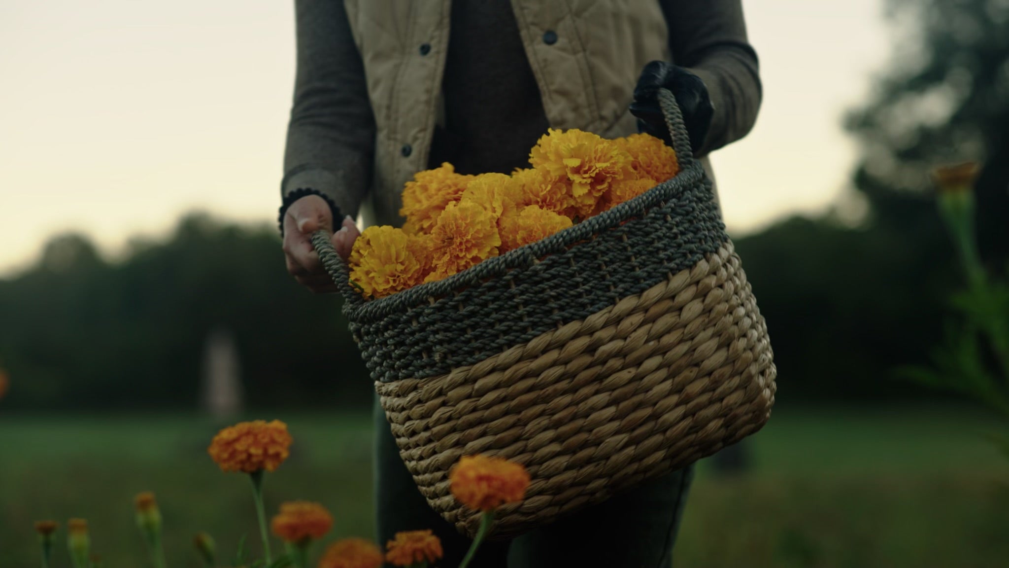 Introducing: The Marigold Beanie