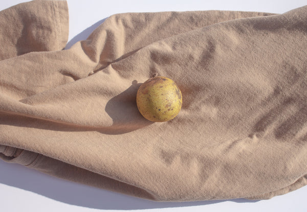 A North Carolina black walnut lies on top of a Solid State Clothing North Carolina Black Walnut Shirt. The walnut is used to create the color of the natural dye